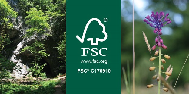 FSC® Certification: Our Latest Step Toward A More Sustainable Future